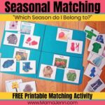 Seasonal Matching File Folder Activity