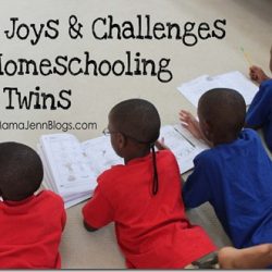 Homeschooling Twins {The Joys & Challenges}