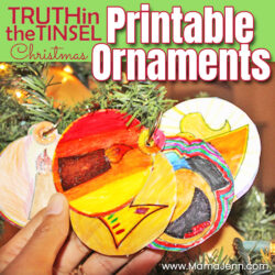 Truth in the Tinsel Ornaments