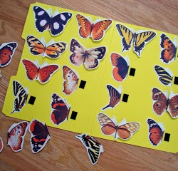 Butterfly {Matching} File Folder Game