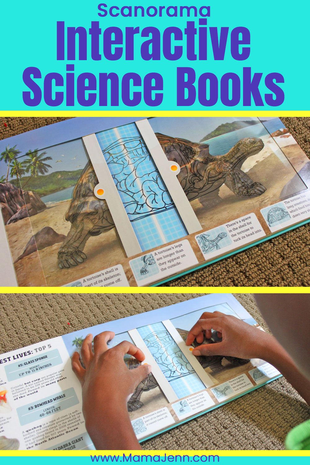 Scanorama Interactive Science Books for Kids