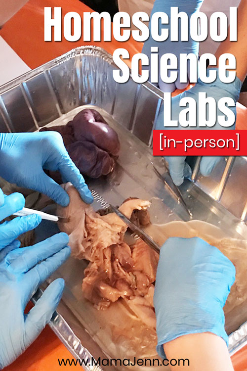 Biology dissection with text overlay Homeschool Science Labs [in-person]