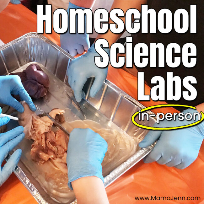 Homeschool Science Labs