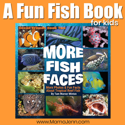 More Fish Faces: A Fun Fish Book for Kids