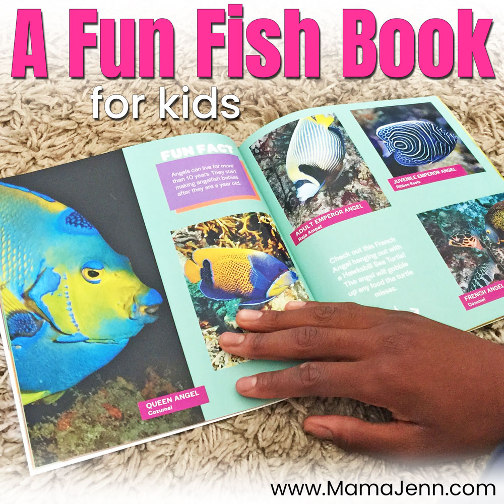 More Fish Faces A Fun Fish Book for Kids