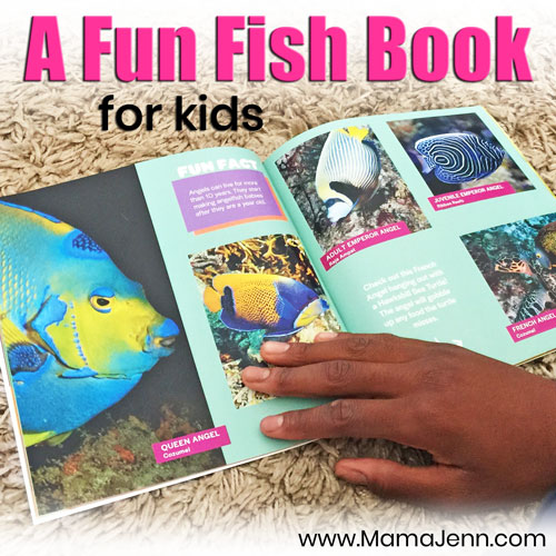 More Fish Faces: A Fun Fish Book for Kids