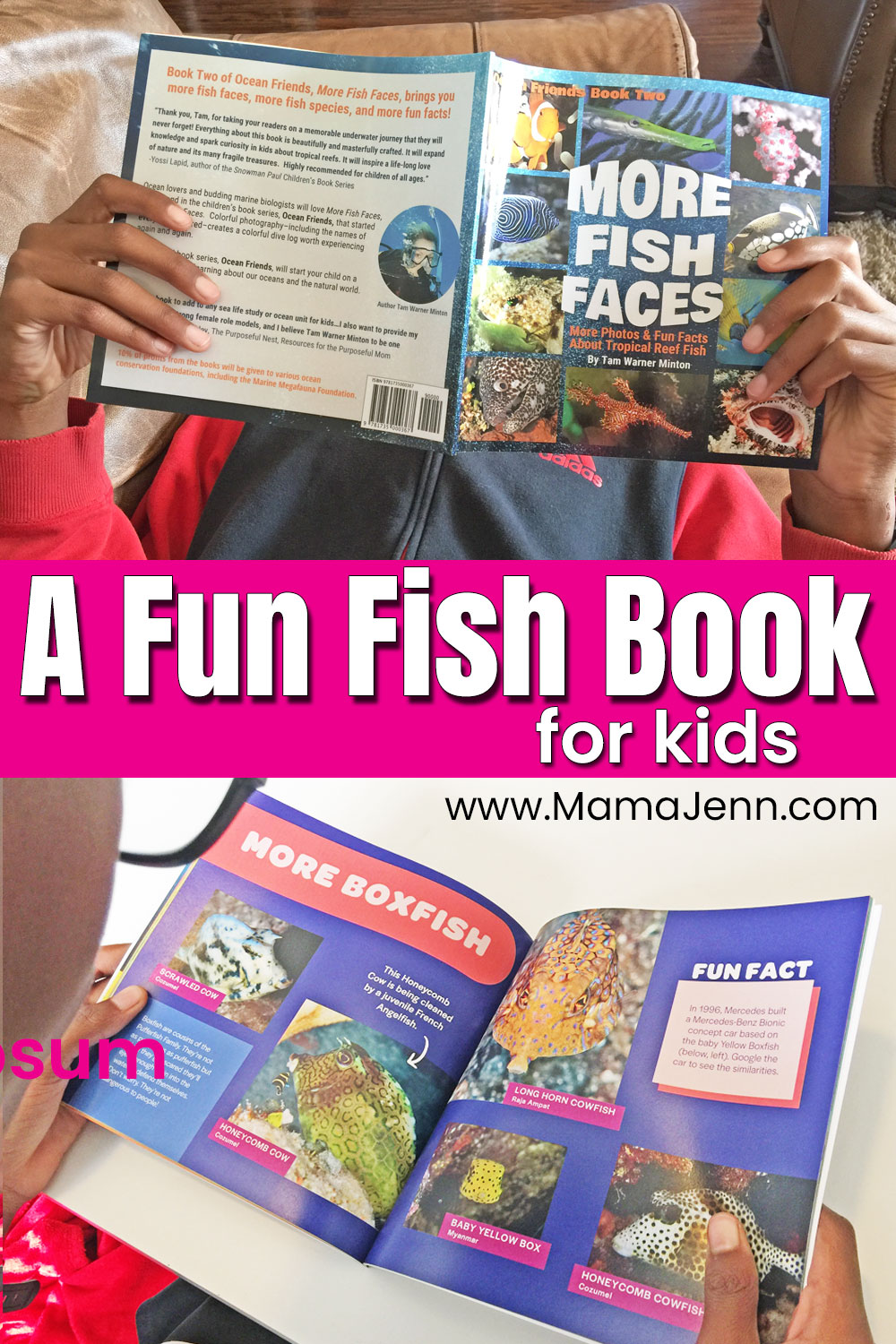 More Fish Faces Fish Book for Kids