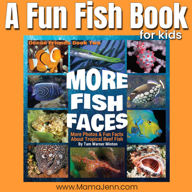 More Fish Faces Fun Book for Kids