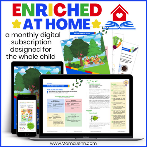 Enriched at Home Digital Subscription