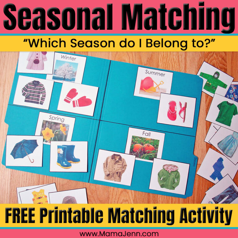 Seasonal Matching File Folder Activity