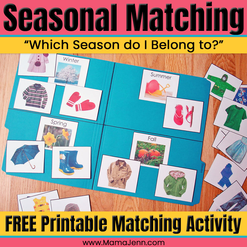 Seasonal Matching File Folder Activity