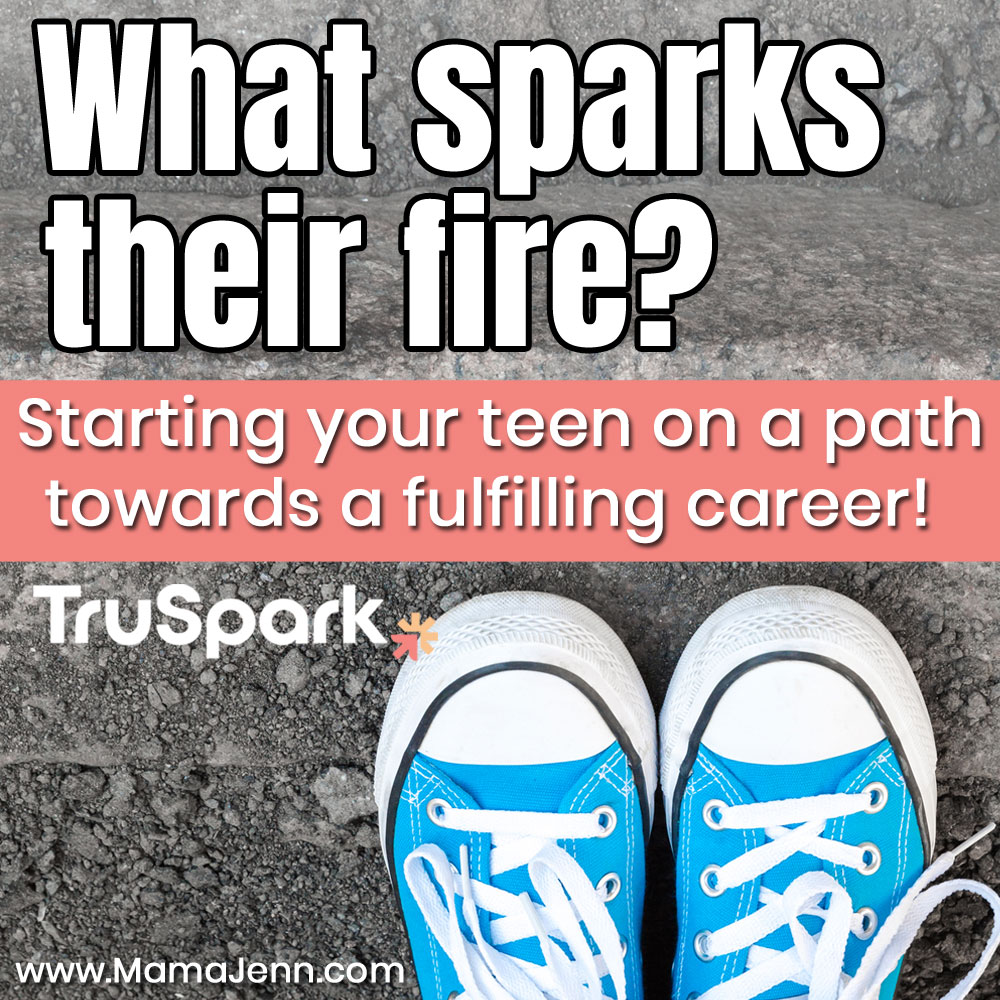 TruSpark Core Motivations
