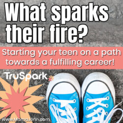 TruSpark Core Motivations & Career Assessment