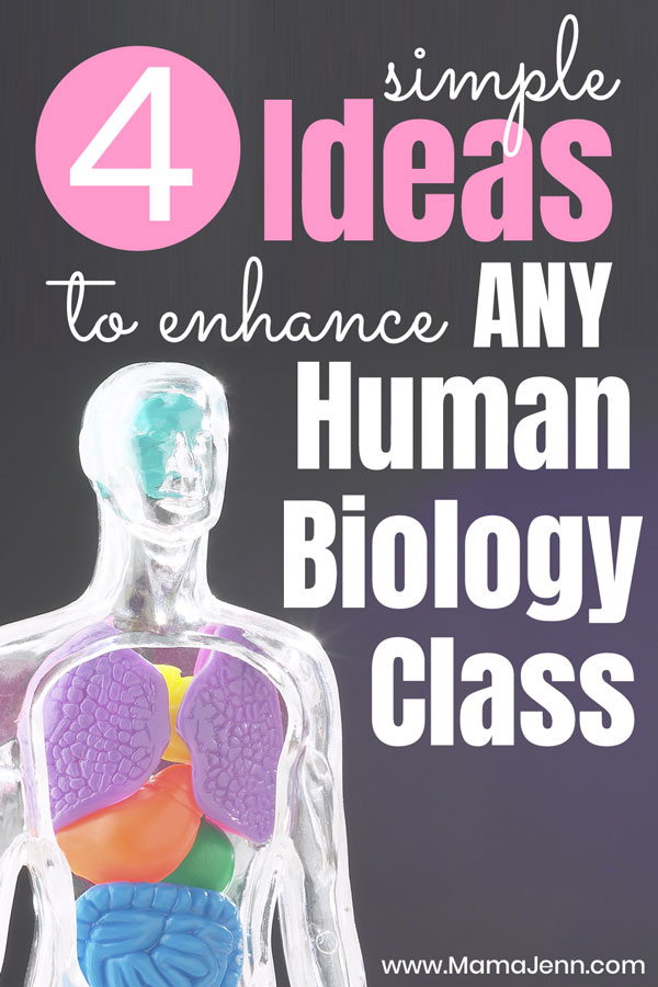 4 Simple Ideas to Enhance ANY Human Biology Curriculum