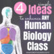 Ideas to Enhance ANY Human Biology Class