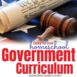 Easy to Use Homeschool Government Curriculum