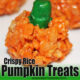Crispy Rice Pumpkin Treats