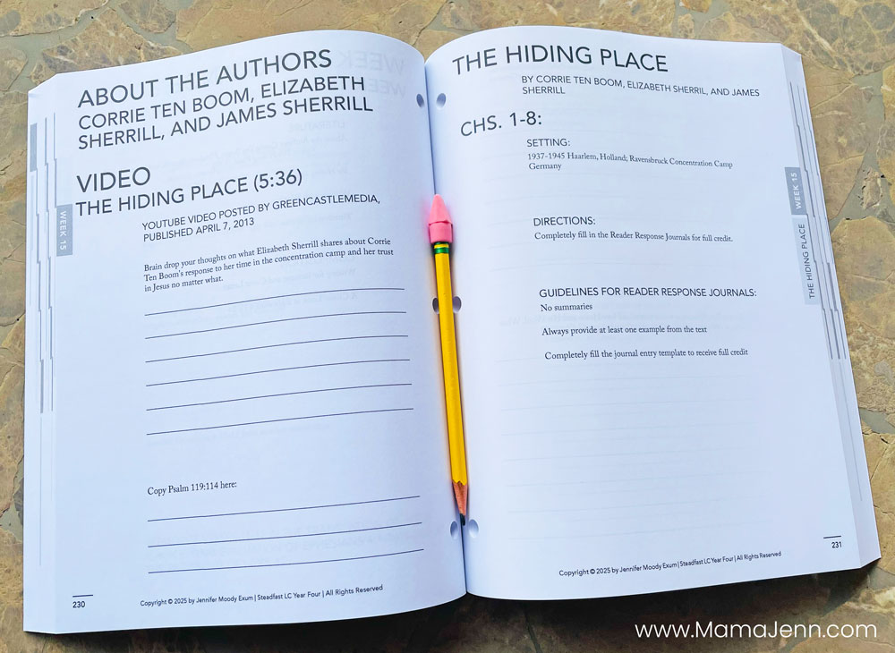 Steadfast Press Homeschool Literature Composition Curriculum