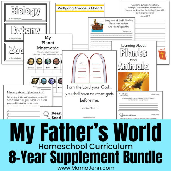 My Father's World 8-Year Supplement Bundle